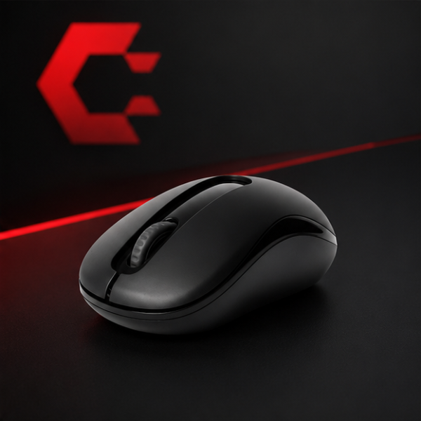 RAPOO M10 PLUS WIRELESS OPTICAL MOUSE | 3 YEARS WARRANTY